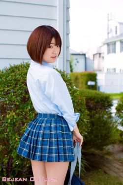 追光的日子电视剧