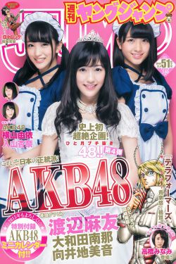 海天雄鹰40集免费正片