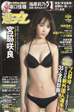 我的极品总裁老婆